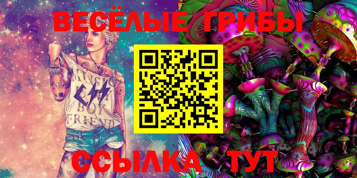 Галлюциногенные грибы Cubensis Сафоново